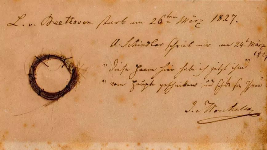 El mechón de pelo de Beethoven que ha sido analizado en este estudio.