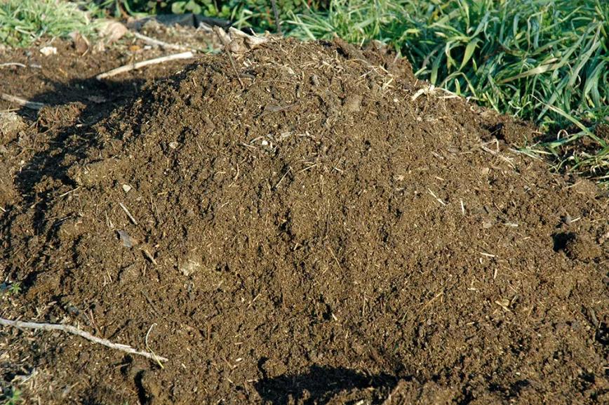 Un montón de compost realizado en el jardín.