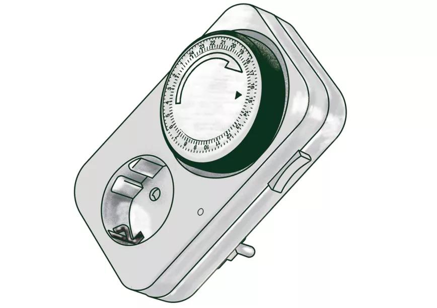 ¿Las plantas necesitan noches? 