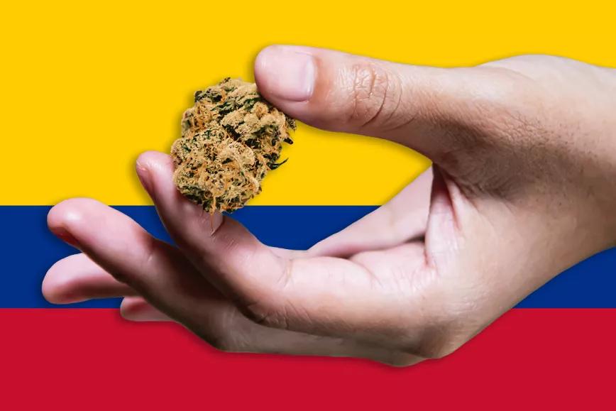 La legalización del cannabis en Colombia avanza un paso más