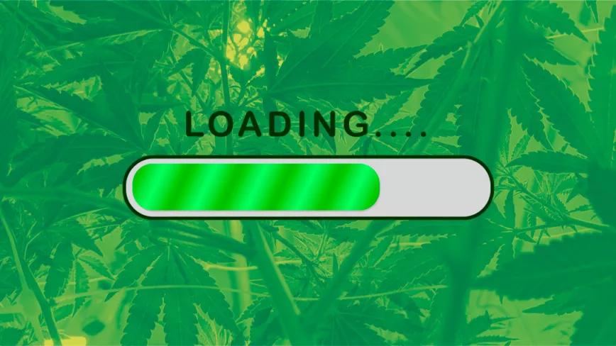 Editorial Cáñamo España #304