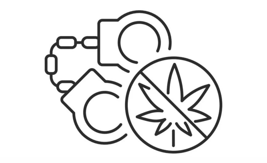 Agravantes en casos de cultivo o posesión