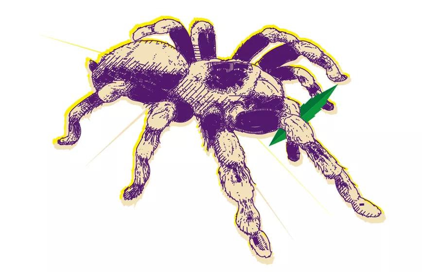 Observatorio Norteamericano Abril 2023