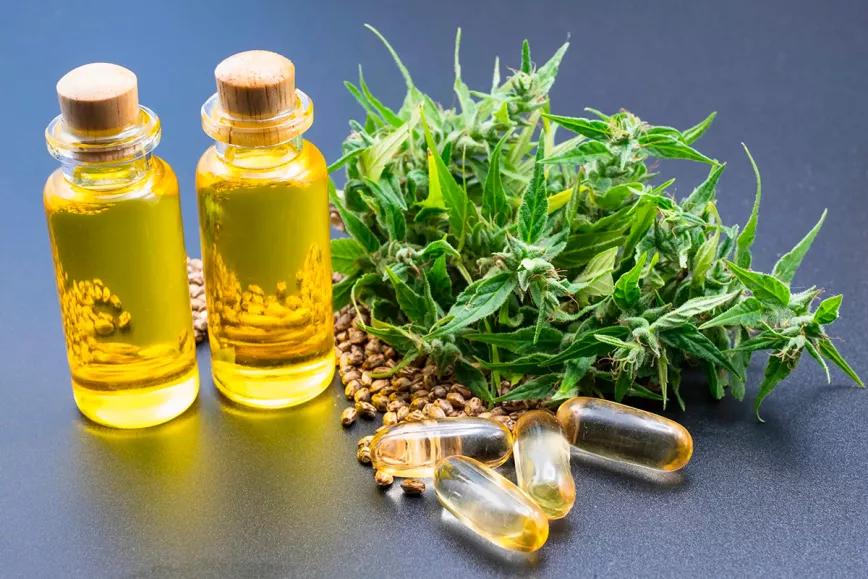 República Checa anuncia la prohibición del CBD en alimentos y suplementos 