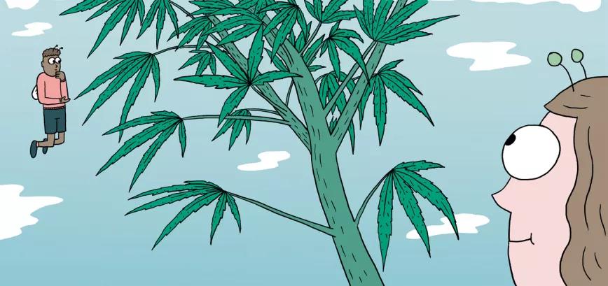 Ocho trucos para la fase de crecimiento 