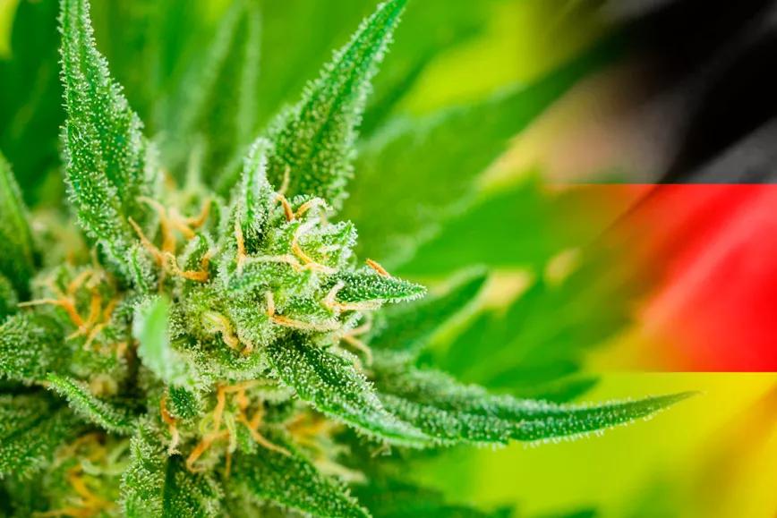 Alemania rectifica su previsión para legalizar el cannabis: será este 2023