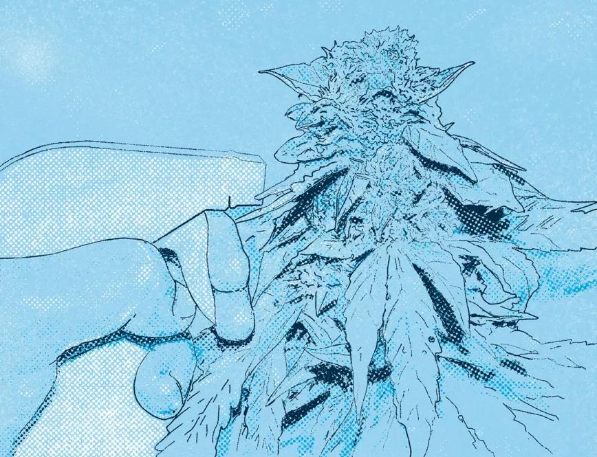 ¿Es útil fumigar abono? 