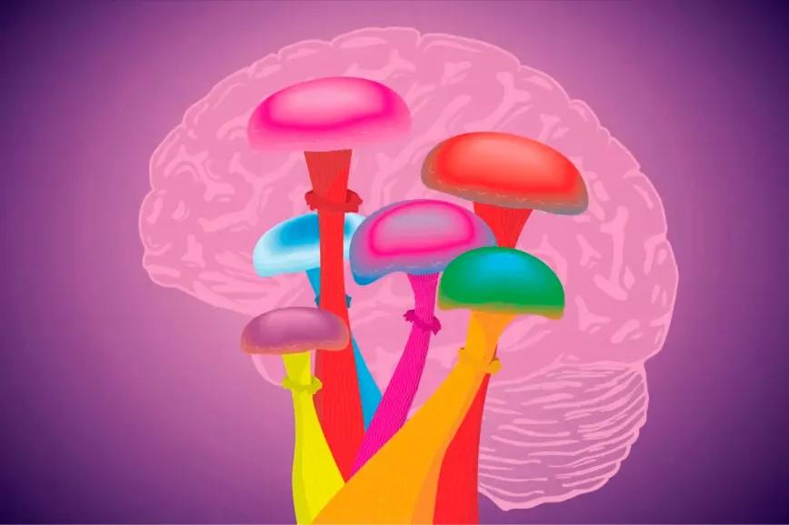 Oregón licencia a los primeros facilitadores de terapia con psilocibina legal