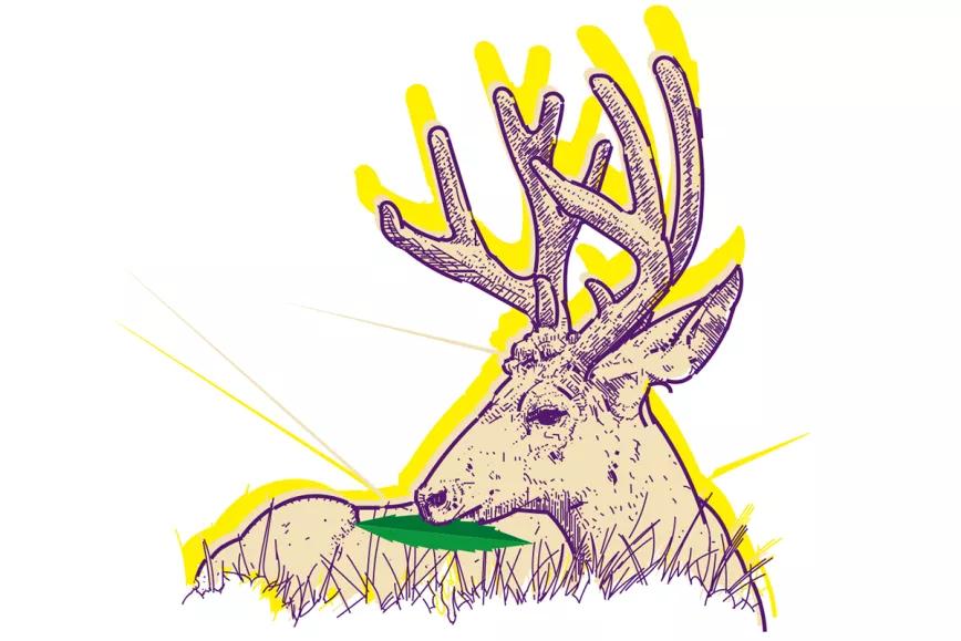 El fentanilo arrasa en Norteamérica Observatorio Oswaldo Pérez Cabrera