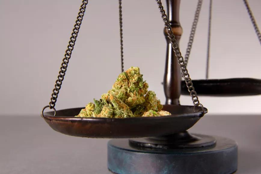 Absuelven al histórico club de cannabis Alacannabis 