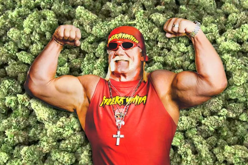 Hulk Hogan también se suma a la industria del cannabis 