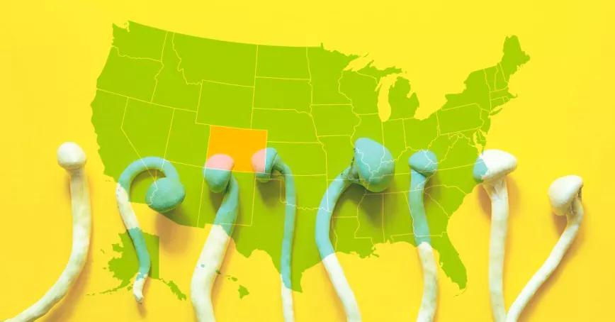 Colorado promulga la ley para regular el acceso a los hongos alucinógenos