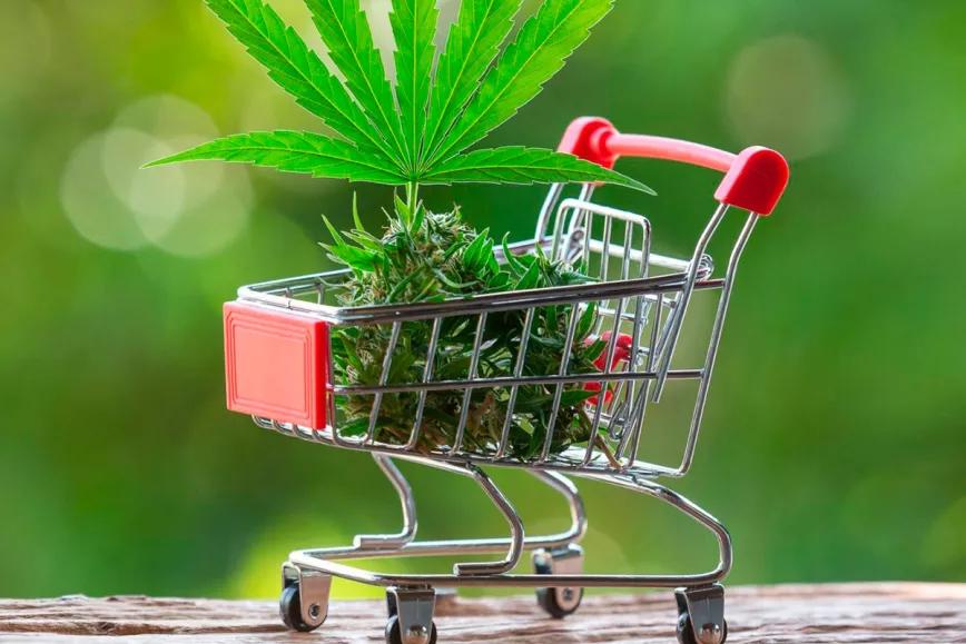 República Checa se dispone a defender la legalización ante el Tribunal Europeo de Justicia 