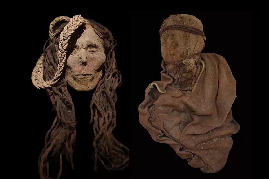 Una cultura preinca sacrificaba niños drogados con mescalina 