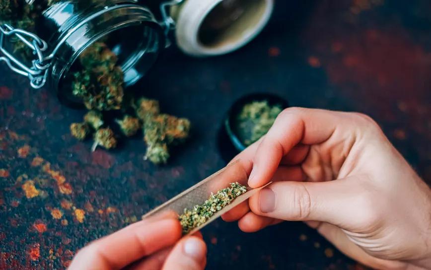 Los socios de los clubs de cannabis alemanes crecen tras el anuncio de su regulación