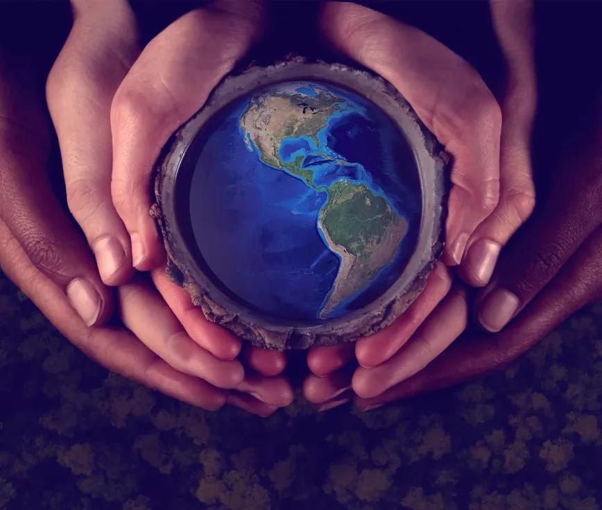 Cuatro millones de personas han consumido ayahuasca en el mundo según una estimación