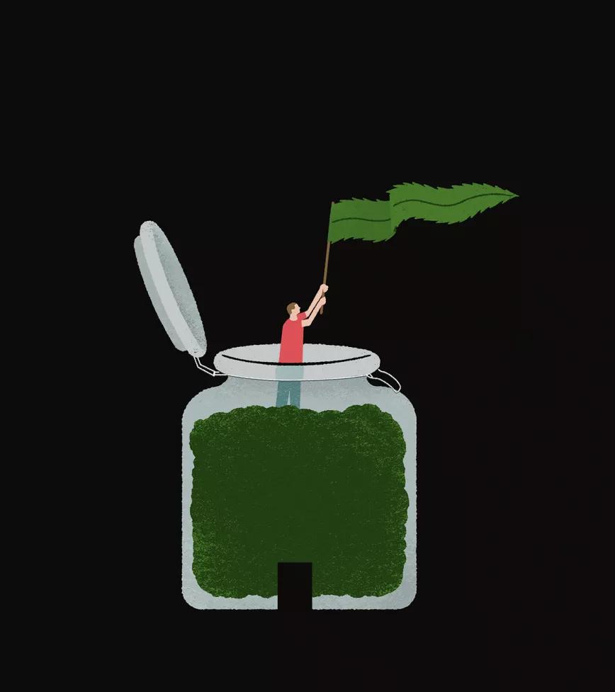 ¿Regulamos?: los CSC como modelo de acceso al cannabis