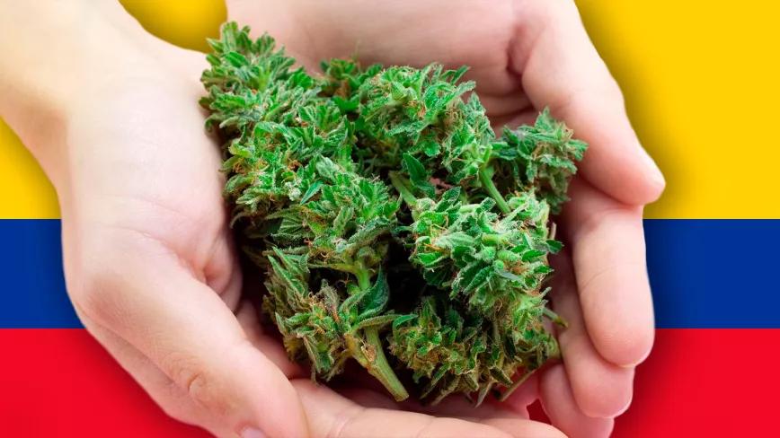 Los legisladores colombianos volverán a presentar la ley de cannabis en un mes