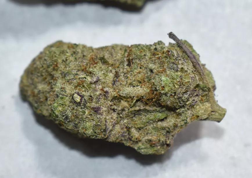 Otro ejemplo de cogollos con PGR, duros y llamativos, pero mucho menos potentes. 