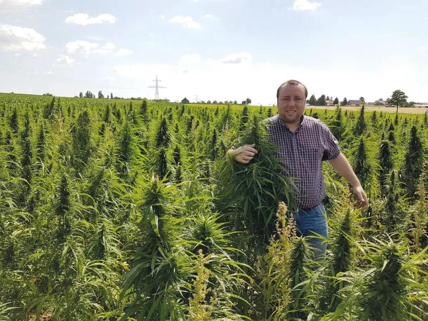 Paraguay reivindica el cannabis legal en la feria de Asunción