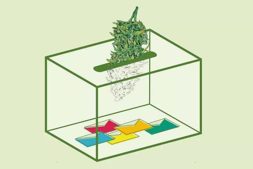 ¿Qué partidos políticos apoyan la regulación del cannabis?