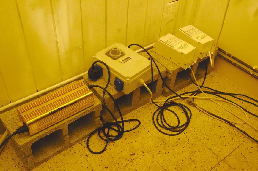 Calor y cultivo interior: cómo gestionar el verano 