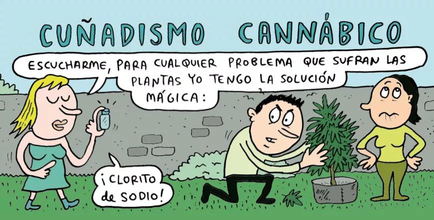 Cuñadísmo cannábico