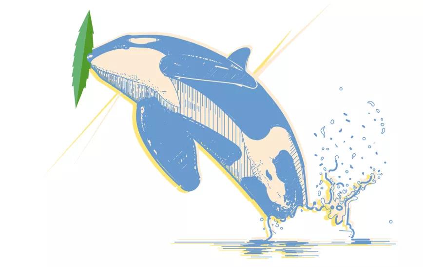 La metadona como herramienta para tratar adicciones 