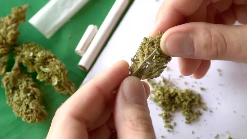 Legisladores alemanes piden mejorar la ley del cannabis 