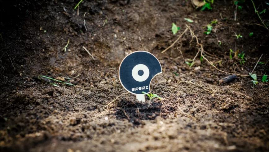 Sustratos de BioBizz