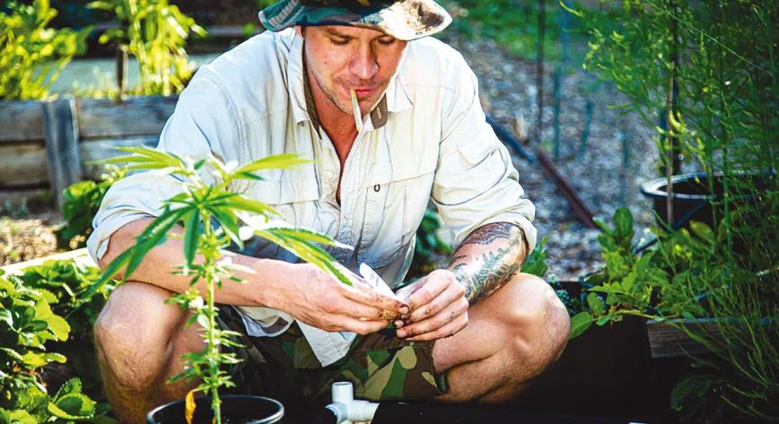 Un aliado contra la guerra: cannabis para superar el estrés postraumático