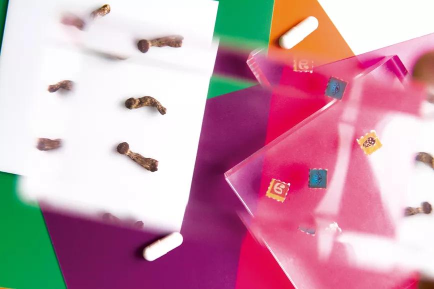 Reducción de riesgos psicodélicos: ¿cómo ayudar a alguien en un mal viaje