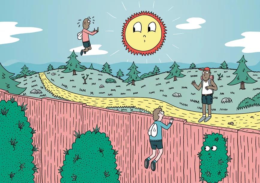 Diez trucos para el verano: floración y cogollos