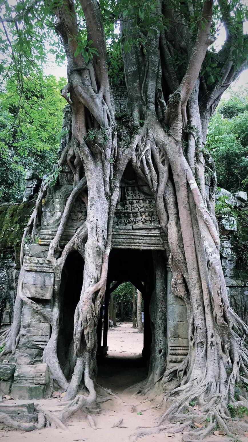 Comer, fumar y volar, en Camboya todo es empezar