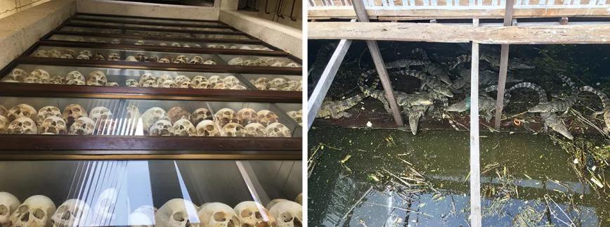 Comer, fumar y volar, en Camboya todo es empezar