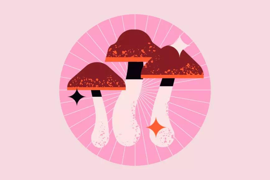 Hoy se celebra el día de los Hongos Mágicos