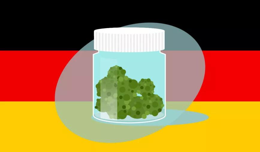 Alemania marca el camino Editorial Cáñamo 310