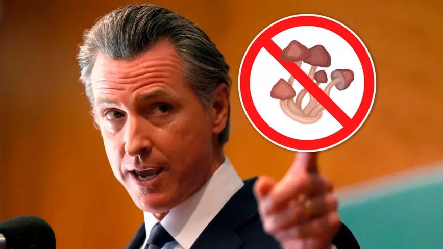 El gobernador de California veta la legalización de los psicodélicos