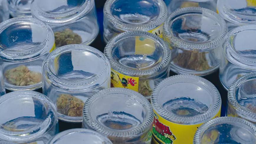 A Feira das Milflores, la fiesta gallega más verde. Fotos: Damián Barral