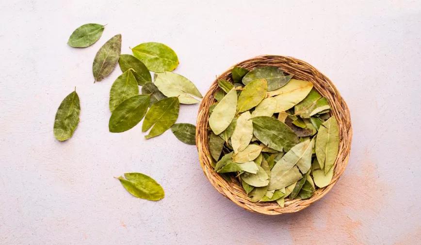 La JIFE mete la pata en su informe anual de drogas y confunde hoja de coca con cocaína