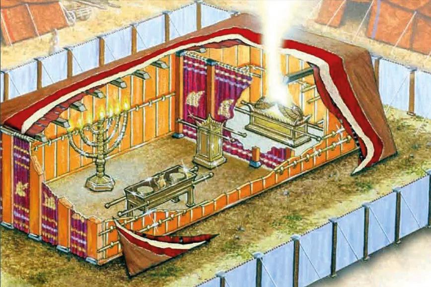 Entrevista a Chris Bennett: el historiador del cannabis 