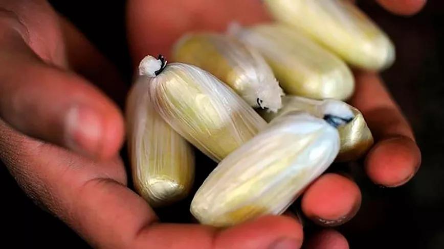 Le piden 22 años de cárcel por captar mujeres para que transportaran cocaína desde Perú 