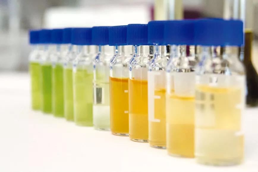 Cannabis al microscopio El trabajo de la Fundación Canna