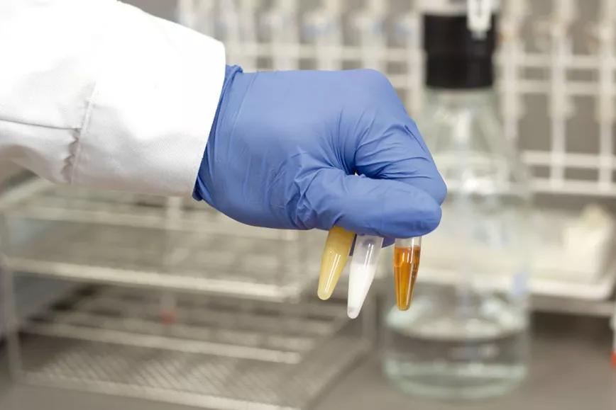 Cannabis al microscopio El trabajo de la Fundación Canna