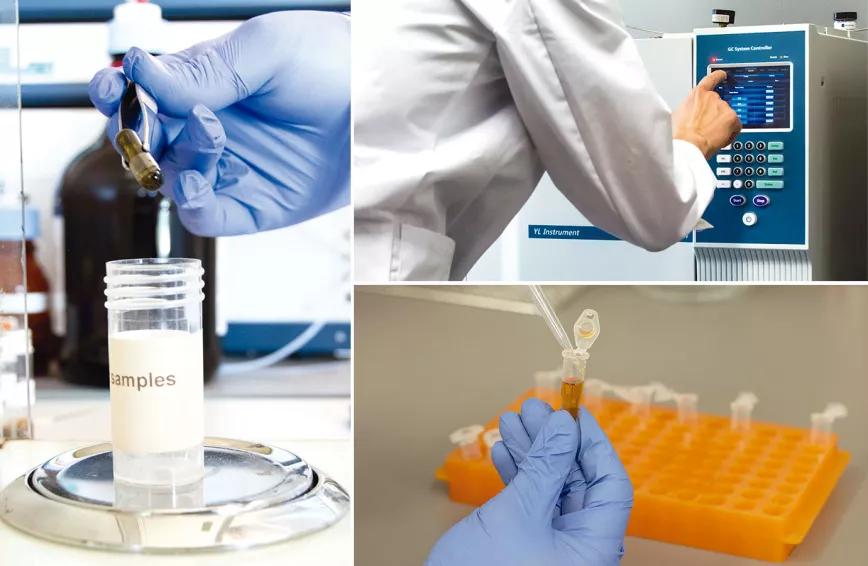 Cannabis al microscopio El trabajo de la Fundación Canna