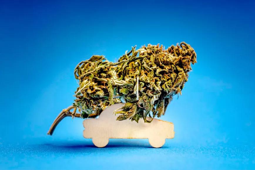 La legalización de la marihuana aumenta los accidentes de tráfico