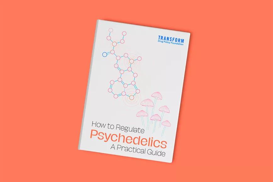 ¿Cómo regulamos los psicodélicos?  