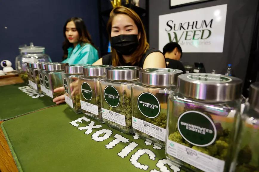 Tailandia prepara una ley para restringir la legalización del cannabis
