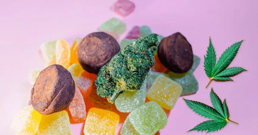 Piden que Canadá permita comestibles de cannabis de mayor potencia