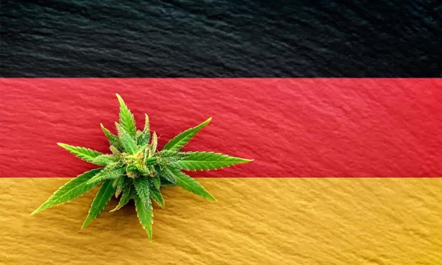 Cambian el proyecto de legalización del cannabis alemán para hacerlo menos estricto